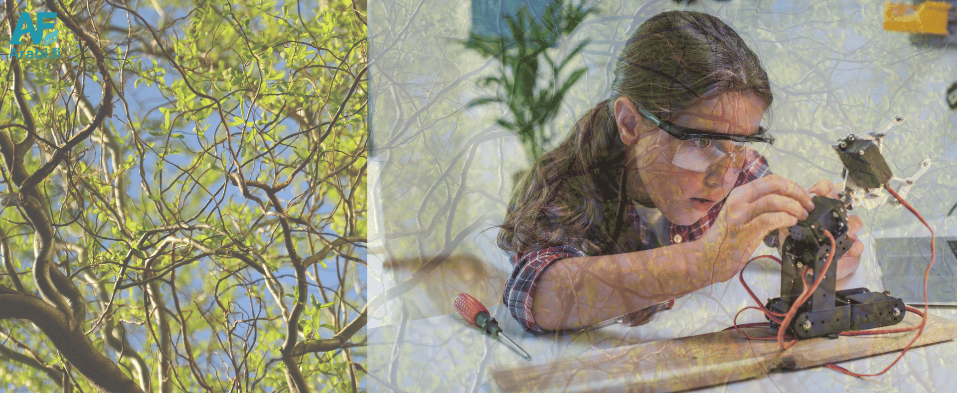 الحقوق الاجتماعية والاقتصادية في فنلندا العدالة التي تلمس الحياة